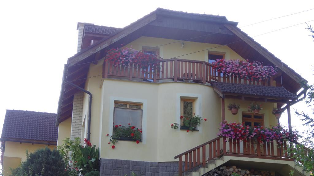 Apartman U Sarky Valaská Exterior foto